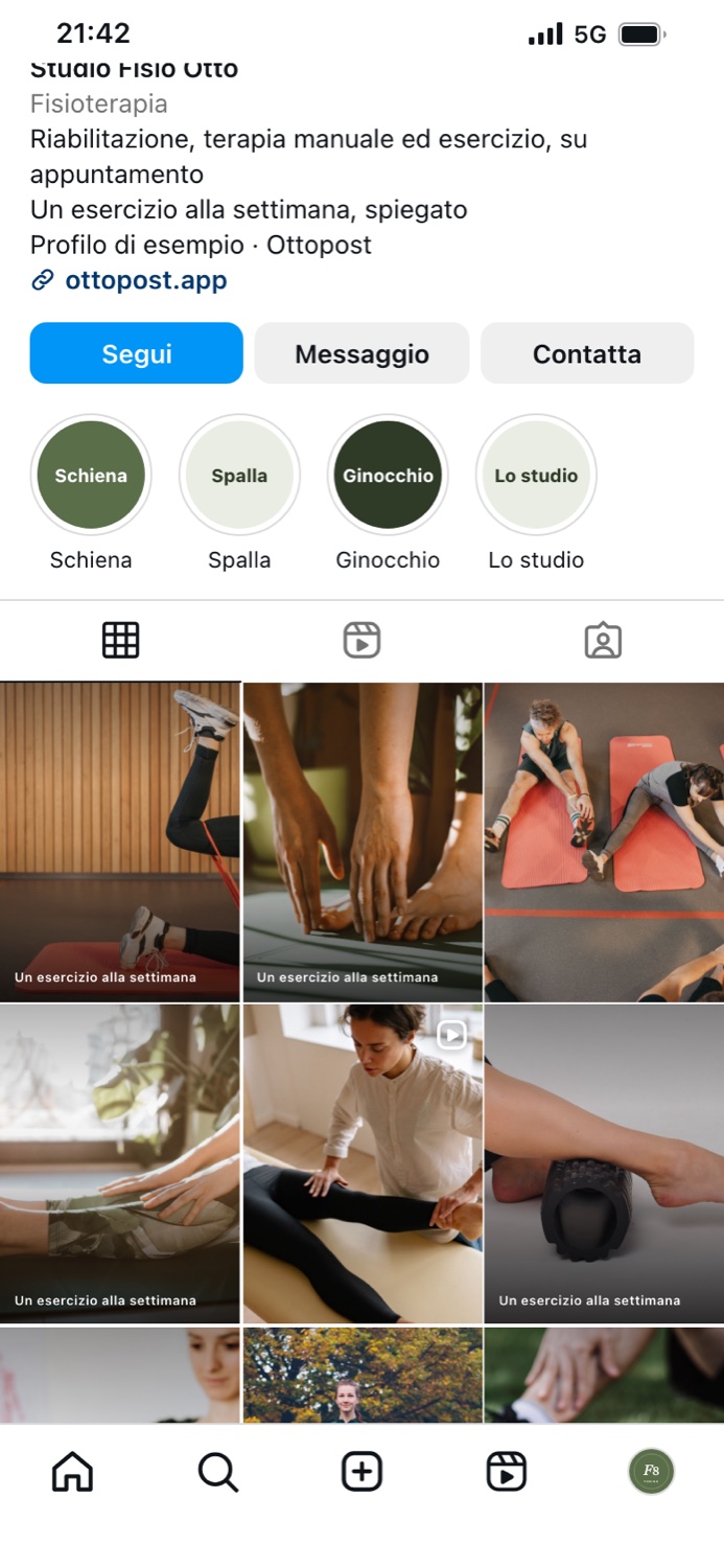 Profilo Instagram di esempio: Studio Fisio Otto